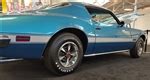 Firebird Complete Body Decal Kits.